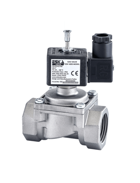 Eska 2'' Doğalgaz Selenoid Vana 220v